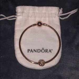 Pandora Rose Bracelet plus 1 rose charm
